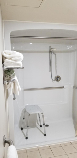 Bathroom 4, Best Western Beacon Inn, Ottawa
