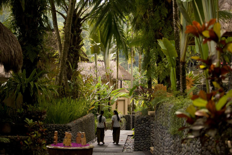 Scenery 25