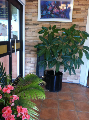 Public Area 3, Alpine Lodge Motel, Division No. 18