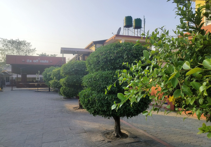 Garden, Rose guest house, Lumbini