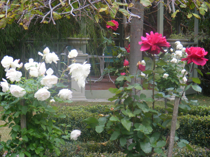 Others 5, Weeroona Bed and Breakfast, Melbourne