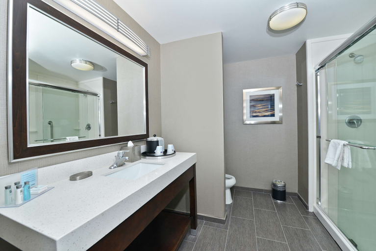 Bathroom 3, Hampton Inn & Suites Greensboro/Coliseum Area, Guilford