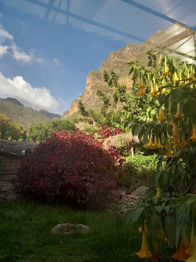 Others 4, Be Free Ollantaytambo, Urubamba