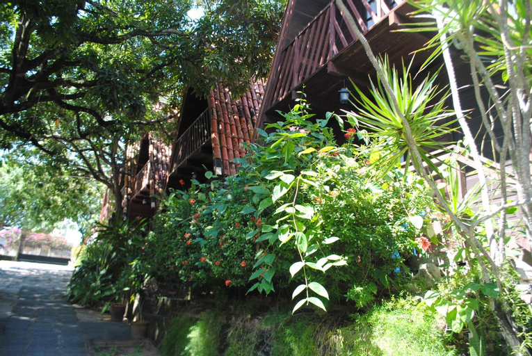 Scenery
