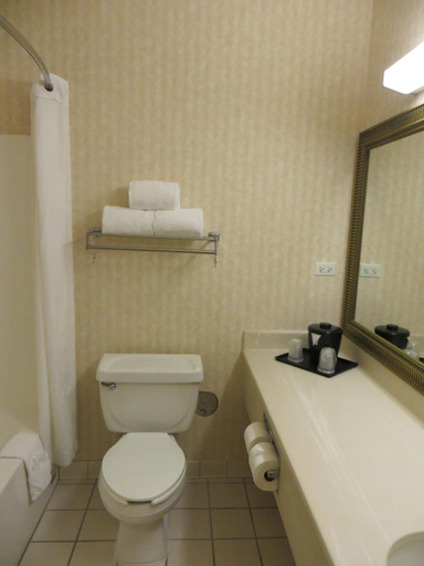 Bathroom 4, Country Inn & Suites by Radisson, Gurnee, IL, Lake