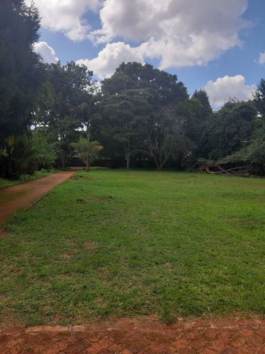 Others 3, Cosham guest house, Harare