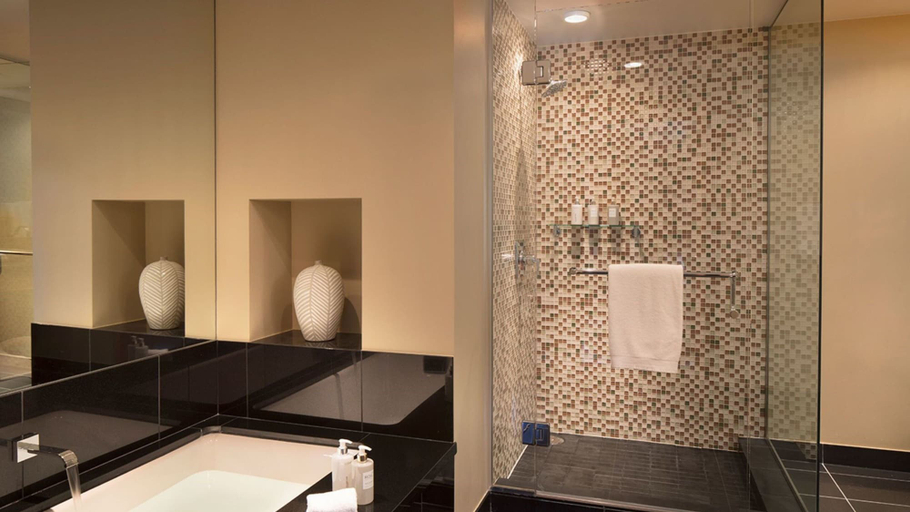 Bathroom 5, Viceroy Snowmass, Pitkin