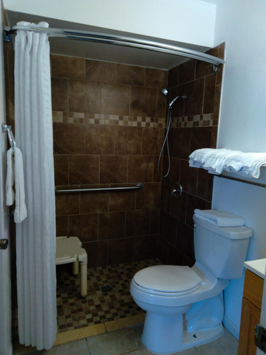 Bathroom, Budget Lodge Mount Dora, Lake