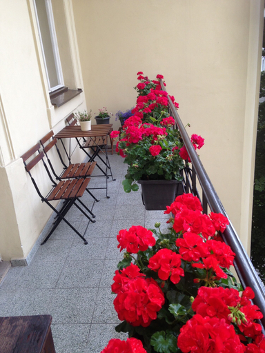 Others 5, Apartments Dusní, Praha 1