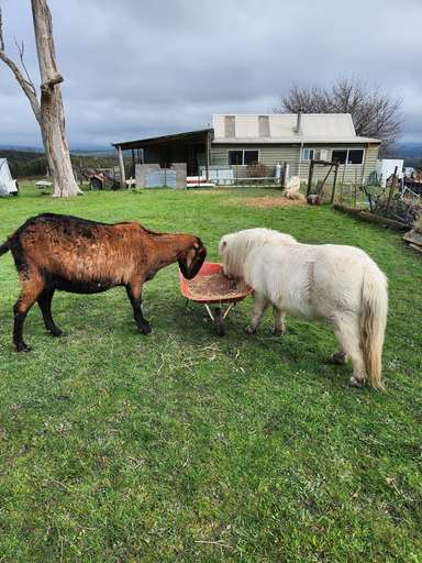 Exterior & Views, Valley Views BNB, Yarra Ranges - Central