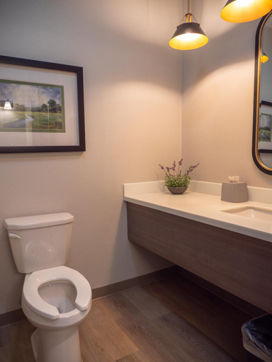 Bathroom, Brady Hotel, Montgomery