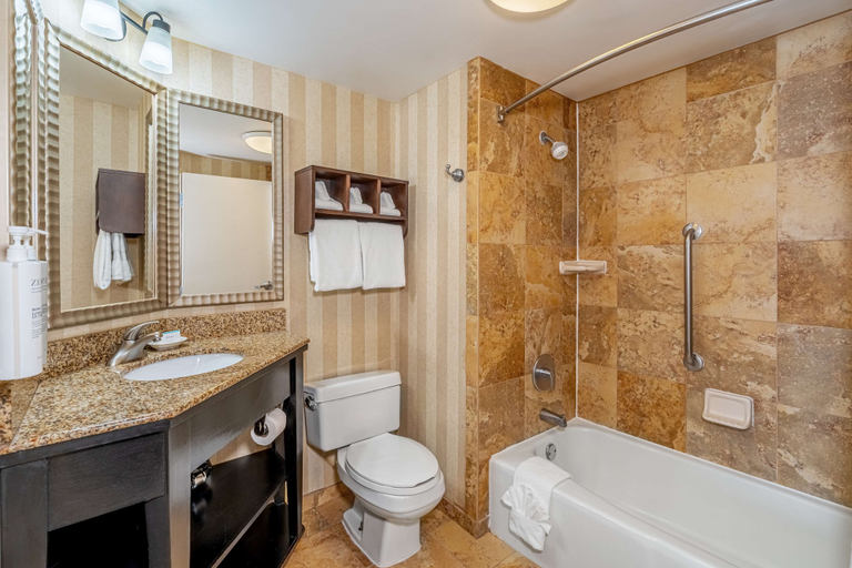 Bathroom 4, Hampton Inn Nashville/Vanderbilt, Davidson
