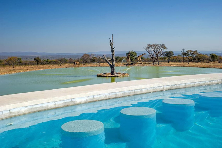 Sport & Beauty 3, Shekinah Lion and Game Lodge, Waterberg