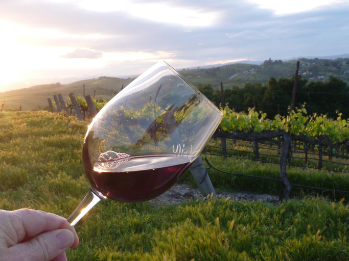 Food & Drinks, The Eden House Vineyard, San Luis Obispo