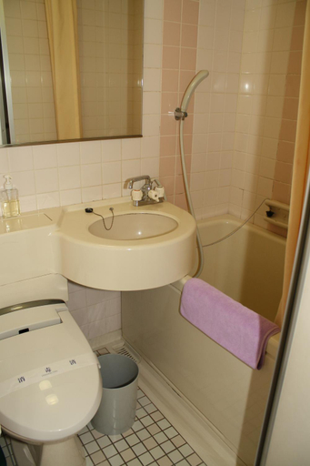 Bathroom 4, Hotel Grand Toya, Tōyako
