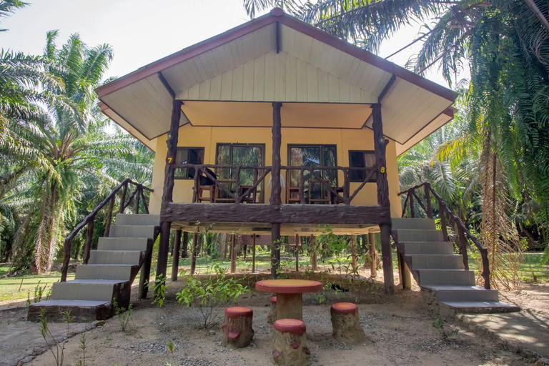 Exterior & Views 1, Khaosok Palmview Resort, Phanom