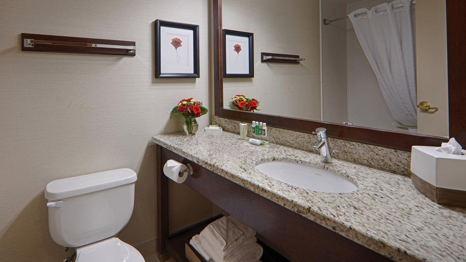 Bathroom 4, Best Western Premier Denham Inn & Suites, Division No. 11
