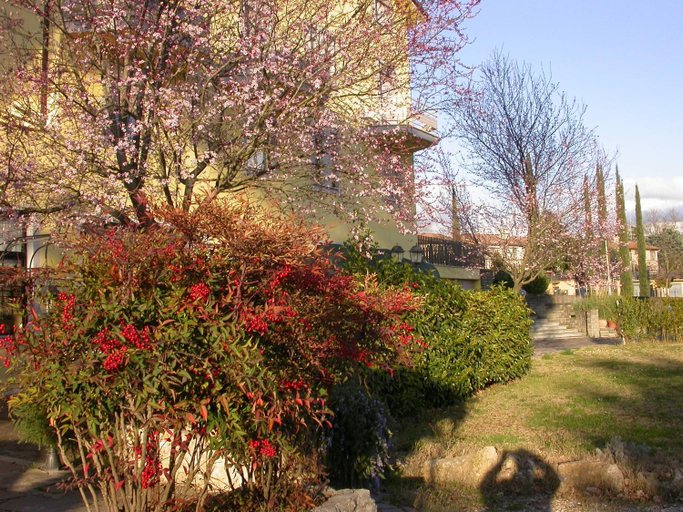 Others 5, Il Roscio, Terni