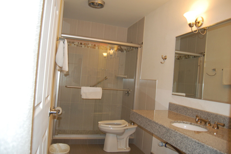 Bathroom 3, Colony Motel, Cook