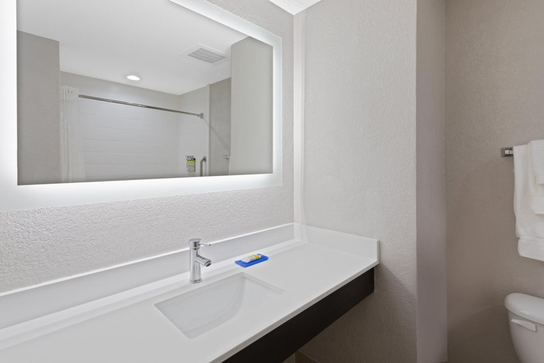 Bathroom 4, Holiday Inn Express & Suites LAKE PLACID by IHG, Highlands