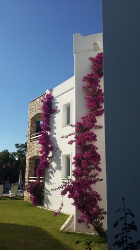 Exterior & Views 1, Sun Garden Apart Hotel, Bodrum