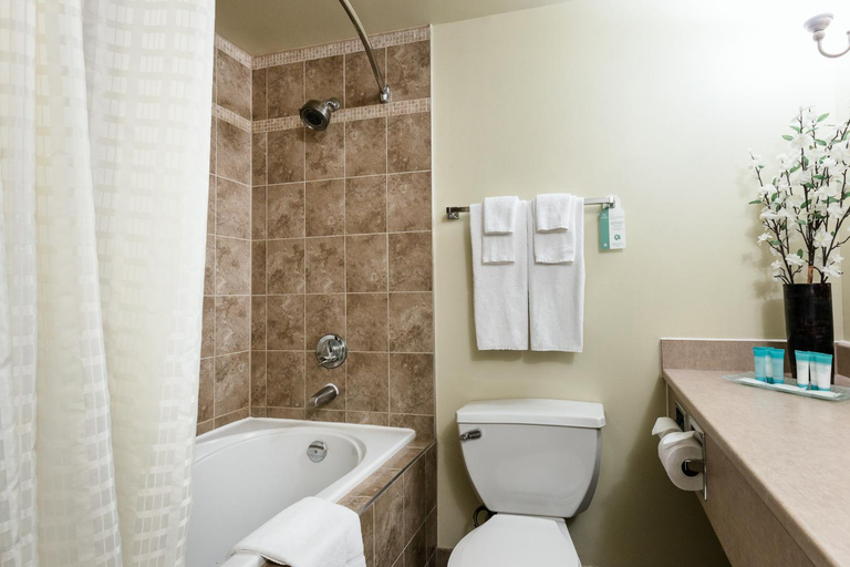 Bathroom 4, Welcominns Ottawa, Ottawa