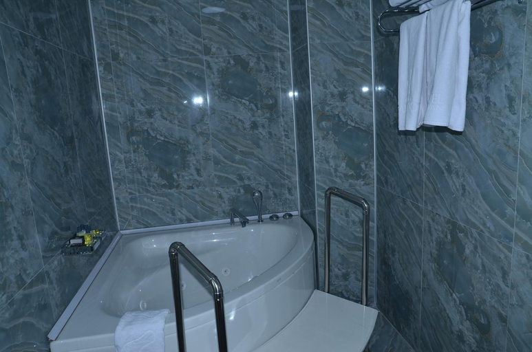 Bathroom 2, Grand Hotel Van, Merkez