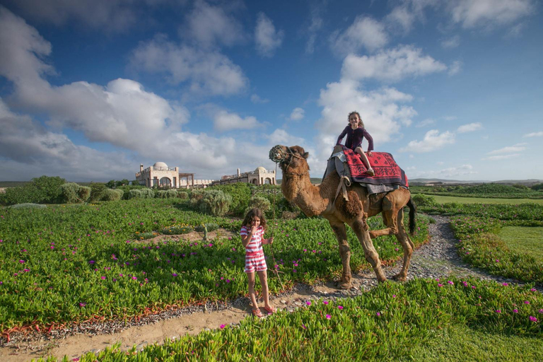 Others 4, Dar Danse, the Bubble on the Beach, Essaouira
