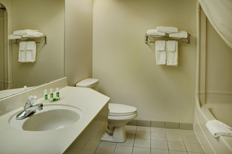 Bathroom, Lakeview Inns & Suites - Brandon, Division No. 7