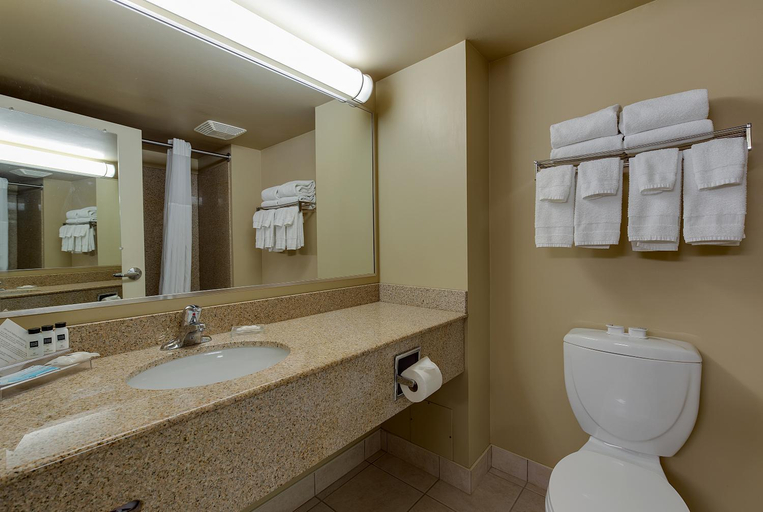 Bathroom 4, Country Inn & Suites by Radisson, Niagara Falls, ON, Niagara