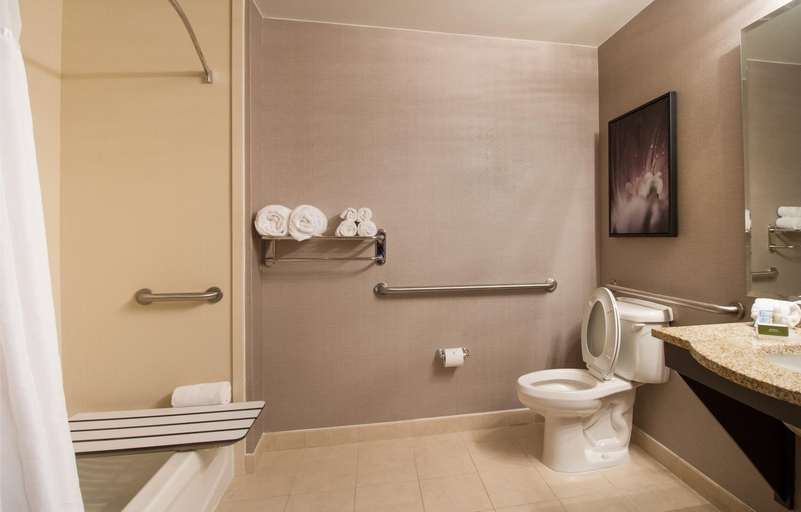 Bathroom 4, TRYP by Wyndham Savannah, Chatham