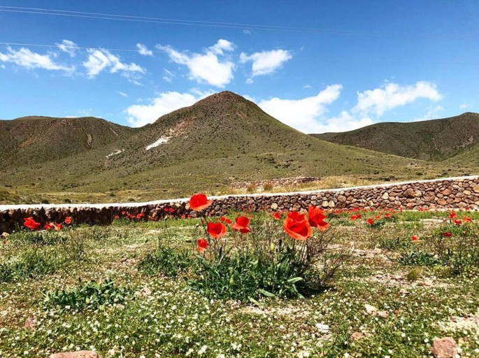 Others 2, Cortijo El Paraiso, Almería