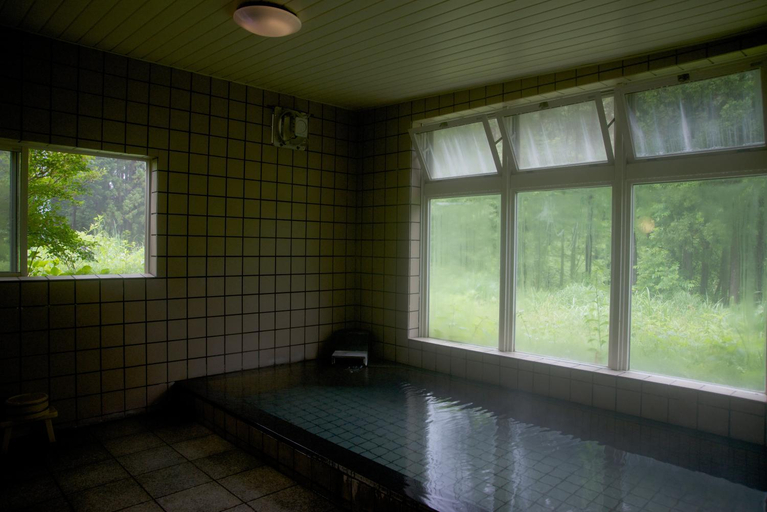 Bathroom 4, MinshukuTakizawa, Takayama