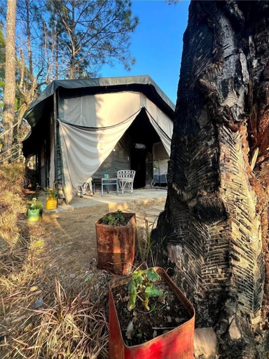 Exterior & Views 2, GlampInn Woods, Nainital