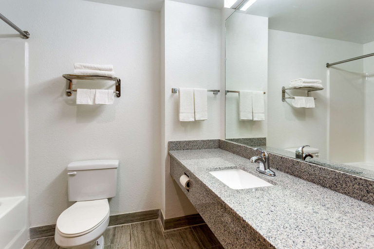 Bathroom 5, Econo Lodge Lookout Mountain, Hamilton