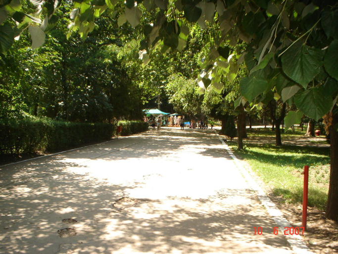Others 5, Pensiunea Sebastian, Sanmartin
