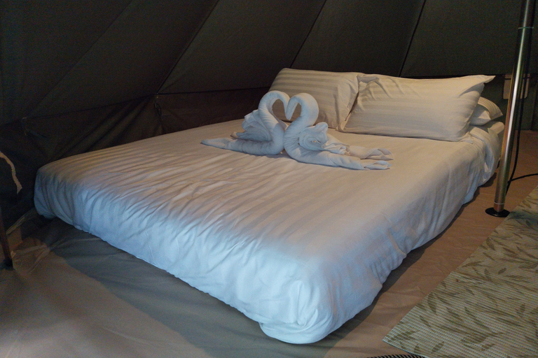 It My Life Cafe X Camp Room Type - Camp