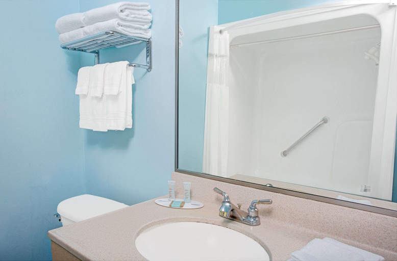 Bathroom 5, Travelodge by Wyndham Bishop, Inyo