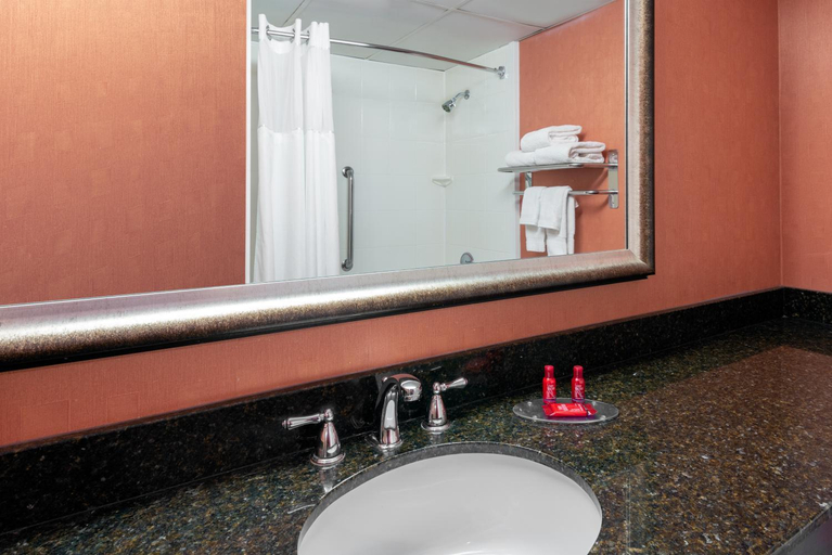 Bathroom 3, University Plaza Hotel, Greene