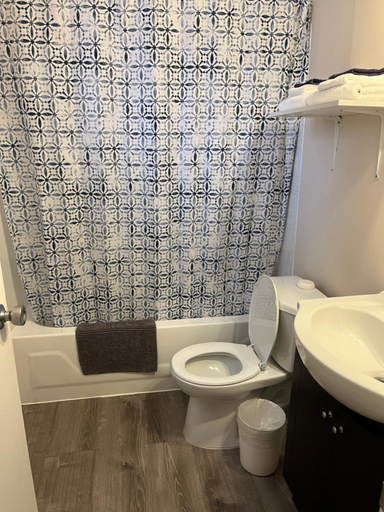 Bathroom 3, Pine Grove Motel, Algoma