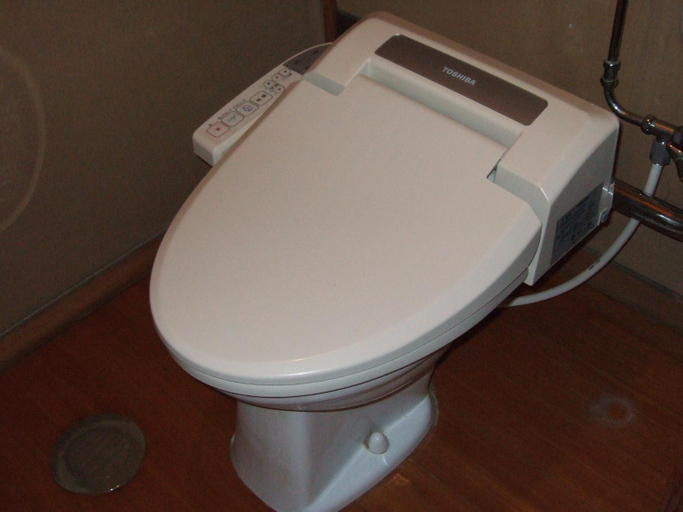Bathroom 5, Yudanaka Yumoto, Yamanouchi