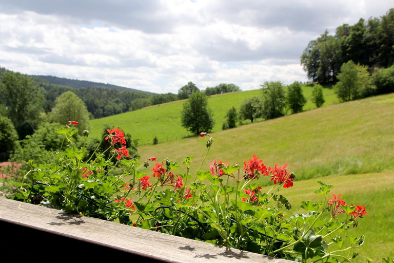 Scenery