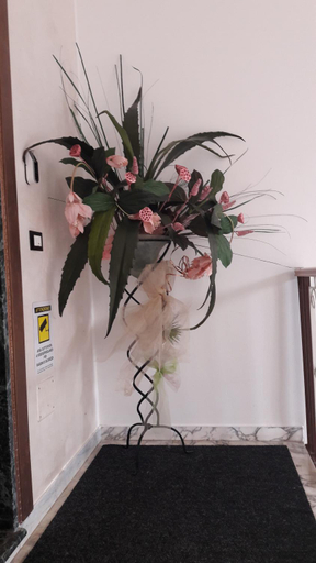 Others 3, A New Guesthouse, Pavia