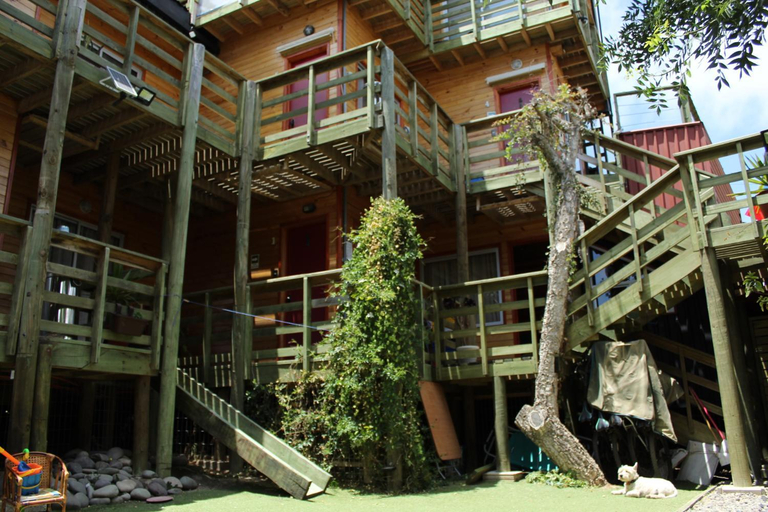 Others 5, Algarrobo Lodge, San Antonio