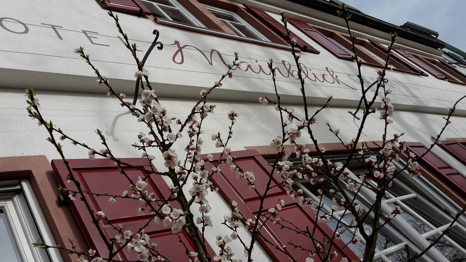 Others 5, Hotel Mainblick Garni, Main-Spessart