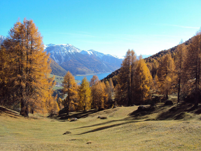 Others 4, Haus Fliri, Bolzano