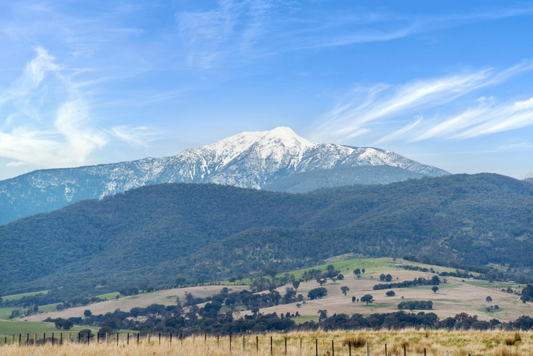 Others 5, Off Mountain Accommodation, Mansfield