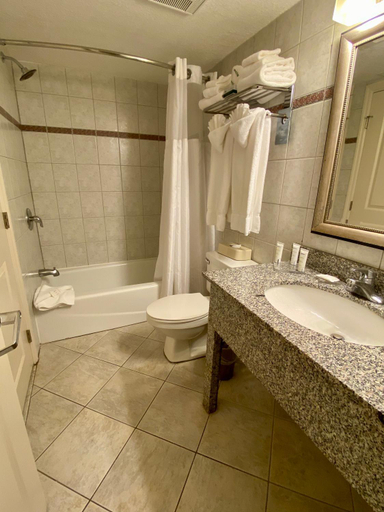 Bathroom 4, Radisson Suite Hotel Oceanfront, Brevard