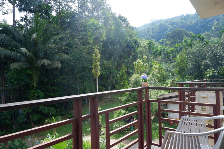 Scenery 6