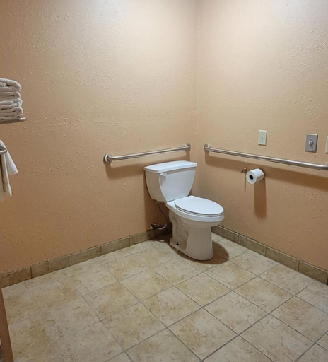 Bathroom, Quality Inn & Suites Mount Pleasant, Henry